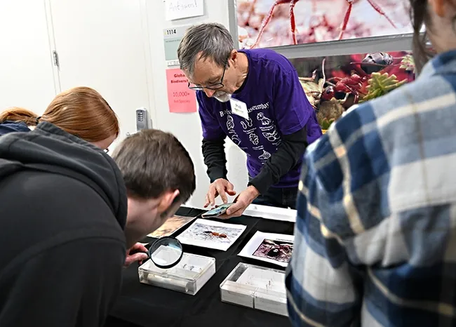 Professor Phil Ward answering questions on ants at UC Davis Biodiversity Museum Day. (Photo by Kathy Keatley Garvey)