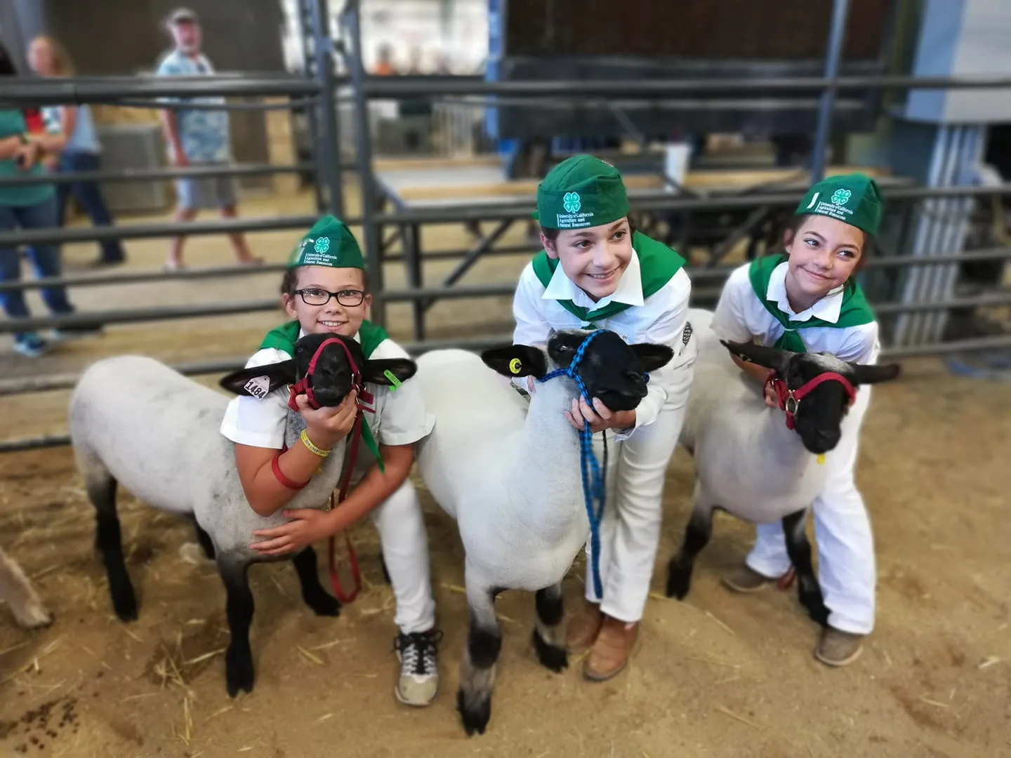Youth members with their animals