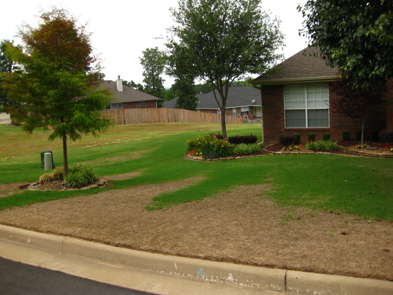 Lawn and landscape damage from herbicide
