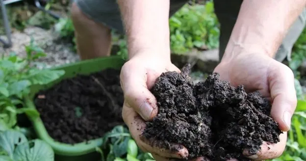 Hands holding soil