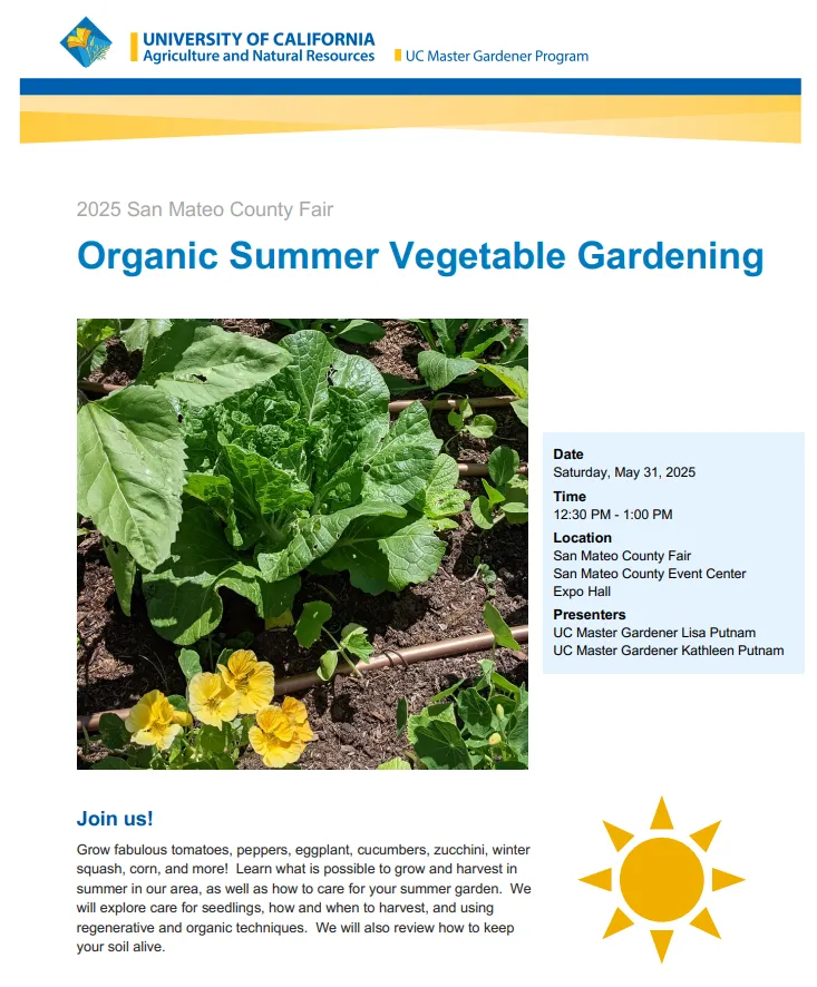 SM County Fair Flyer 5-31-25