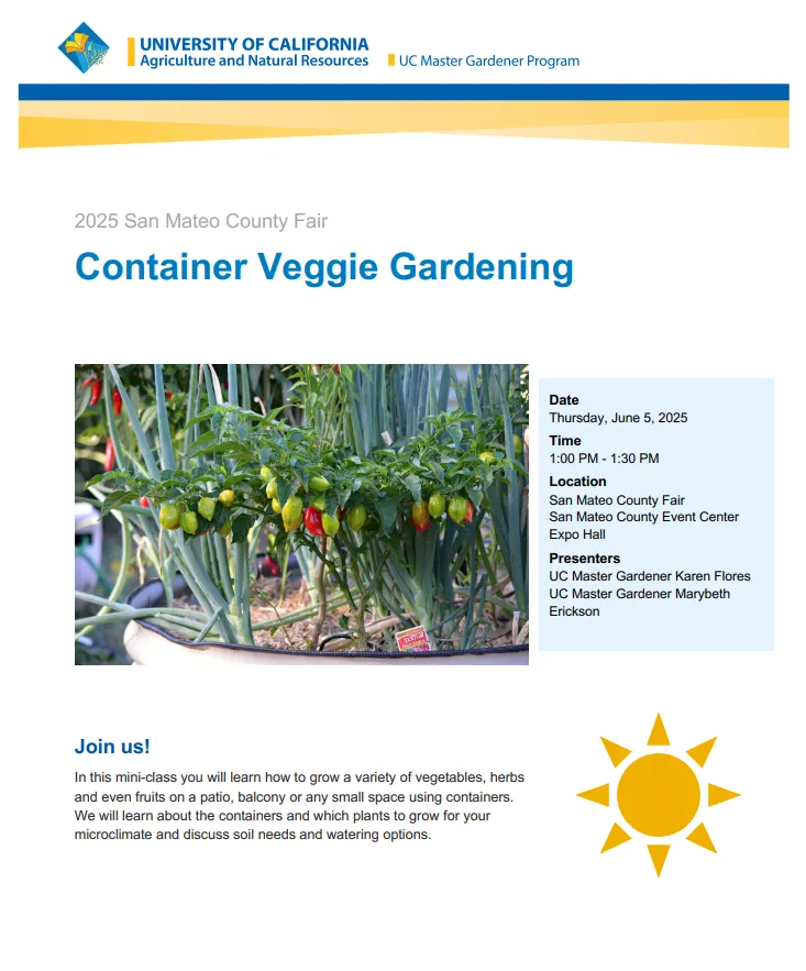 SM County Fair Flyer 6-5-25