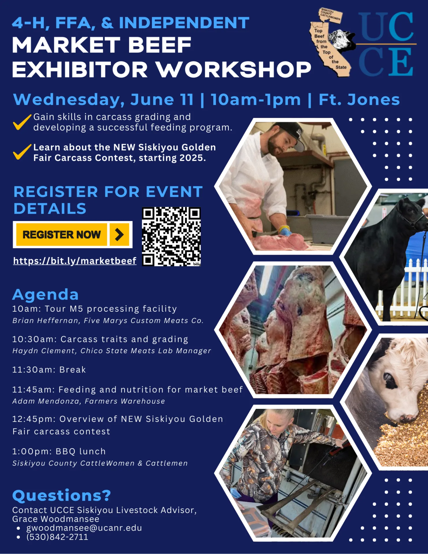 Market Beef Exhibitor