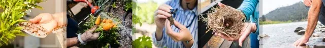  A collage of hands engaging in nature-related activities, including planting seeds, harvesting carrots, examining leaves, holding a bird's nest, and reaching into a stream.