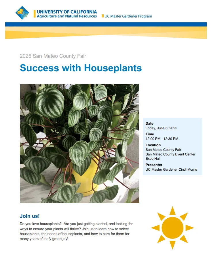 SM County Fair Flyer 6-6-25