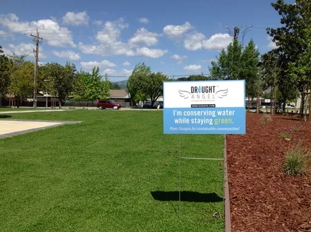 Kurapia at Morgan Hill City Center