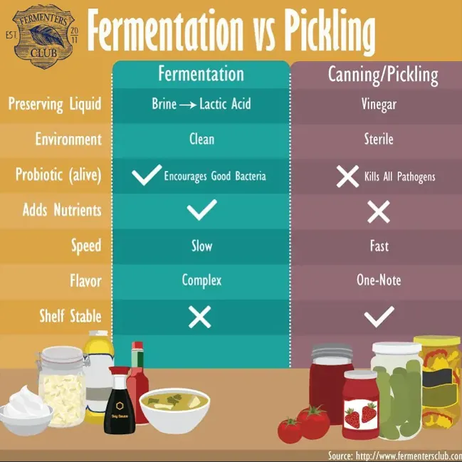 Fermentation vs Pickling
