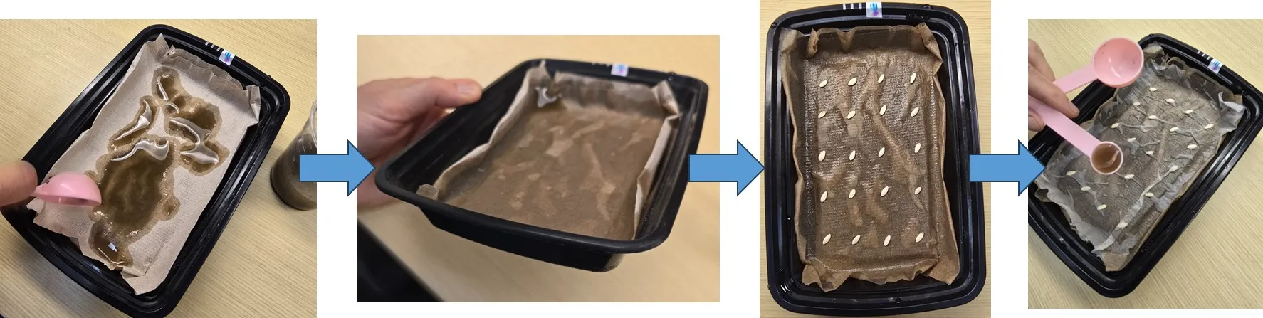 Setting up the seeds and adding the liquid