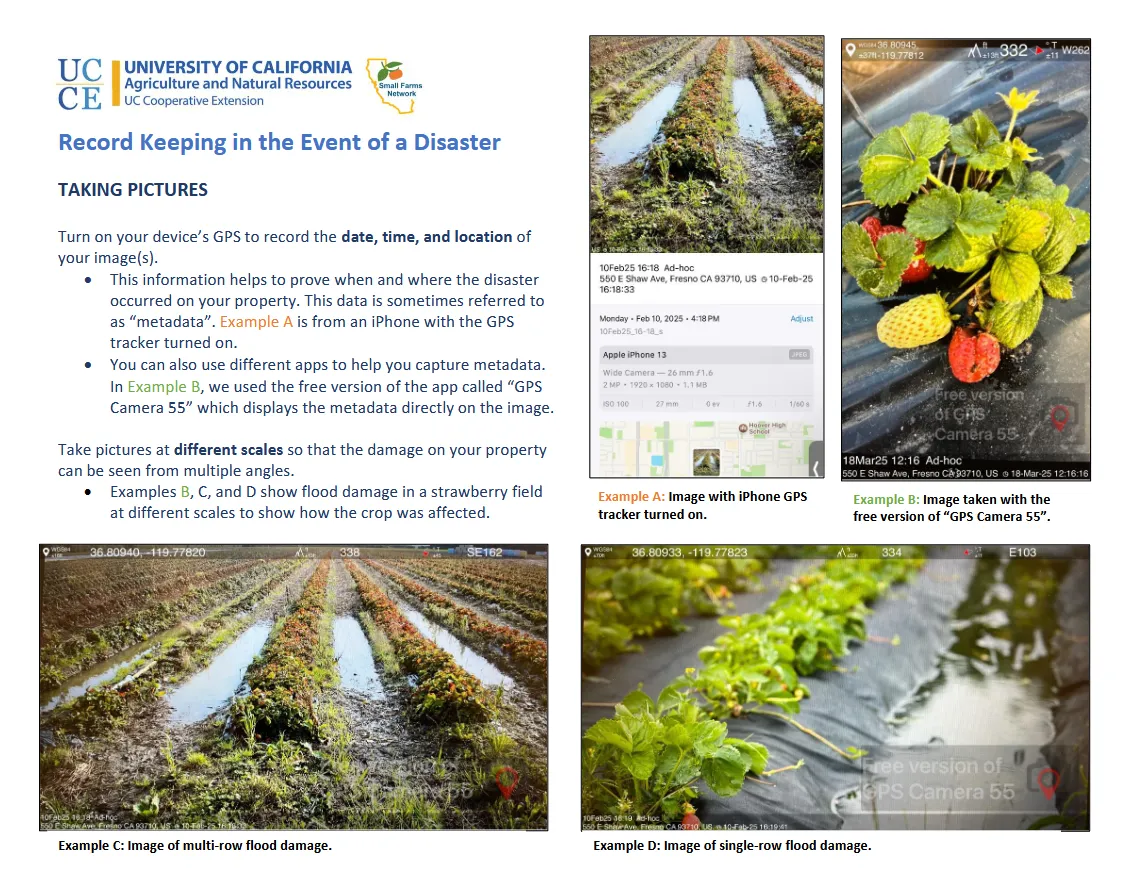 Recording keeping recommendations in the event of a disaster