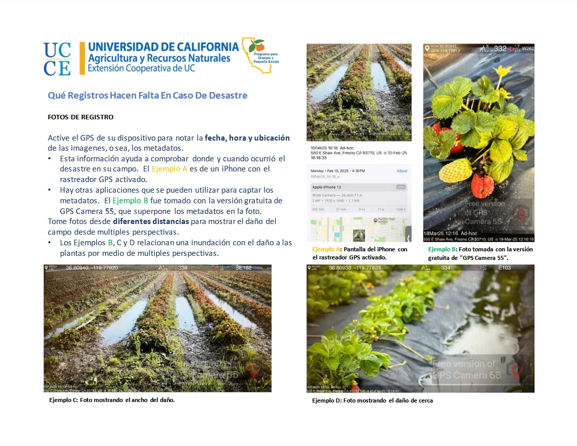 Record keeping in Spanish