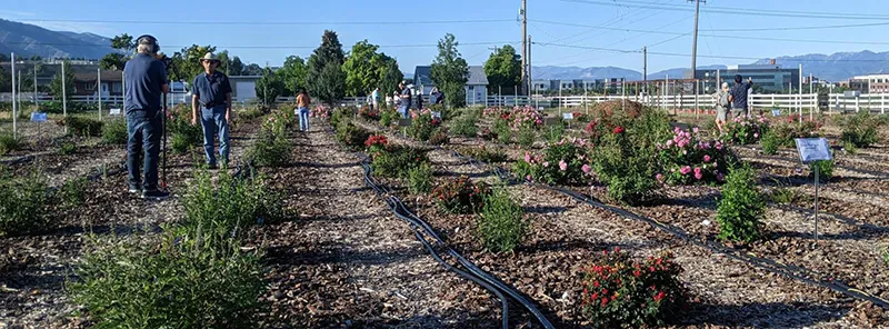 USU Open House ULCPIT.UC.Davis.edu-800w