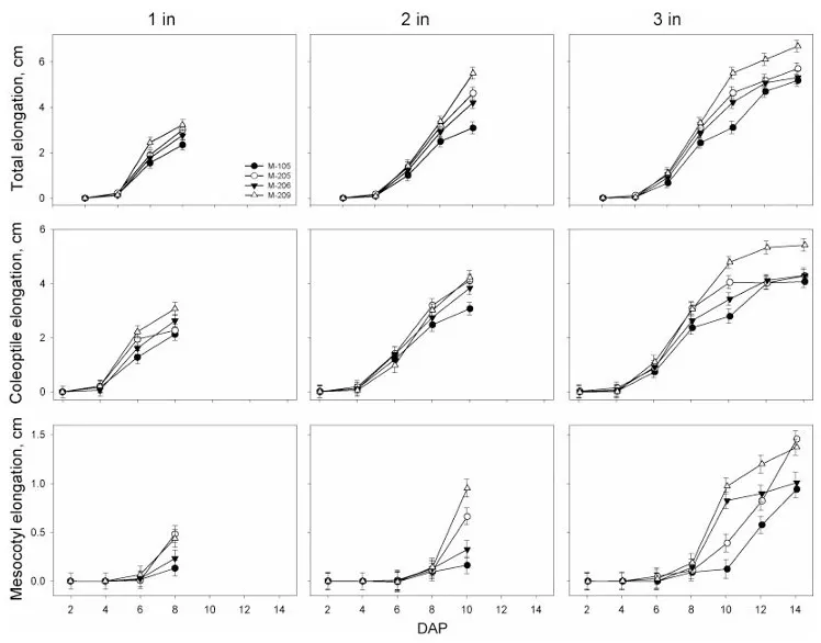 various graphs on rice seed elongation