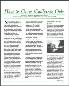 How to Grow California Oaks