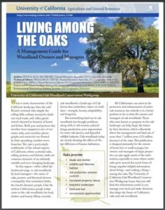 Living Among the Oaks