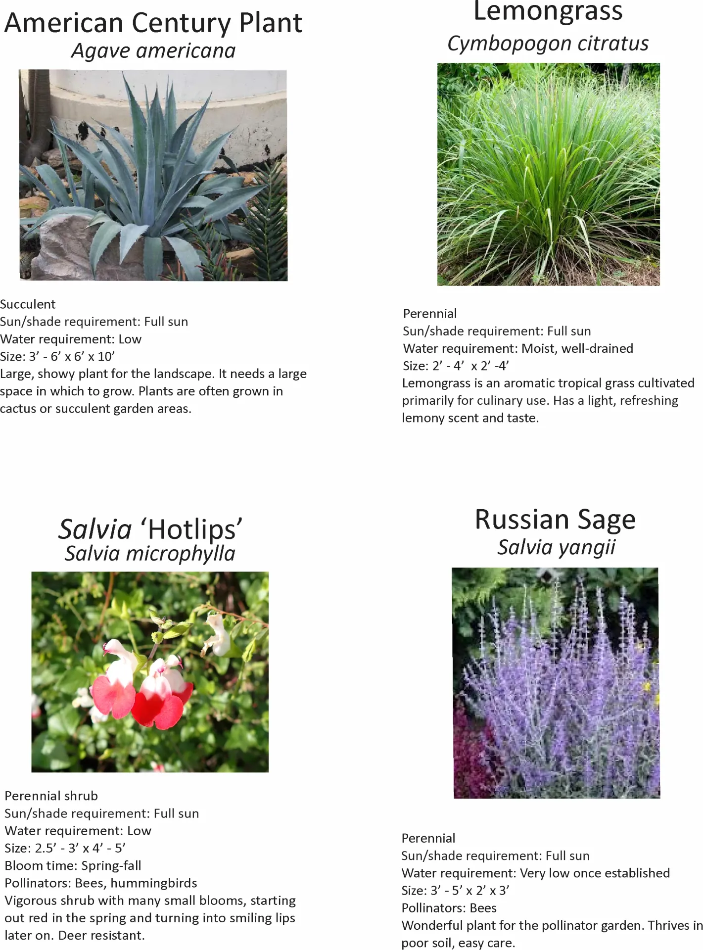 Plants for sale
