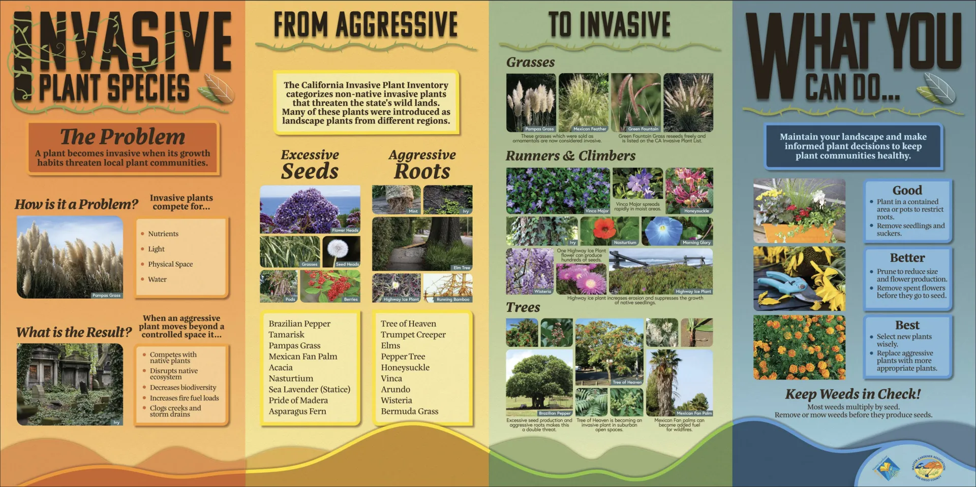 invasive plant exhibit
