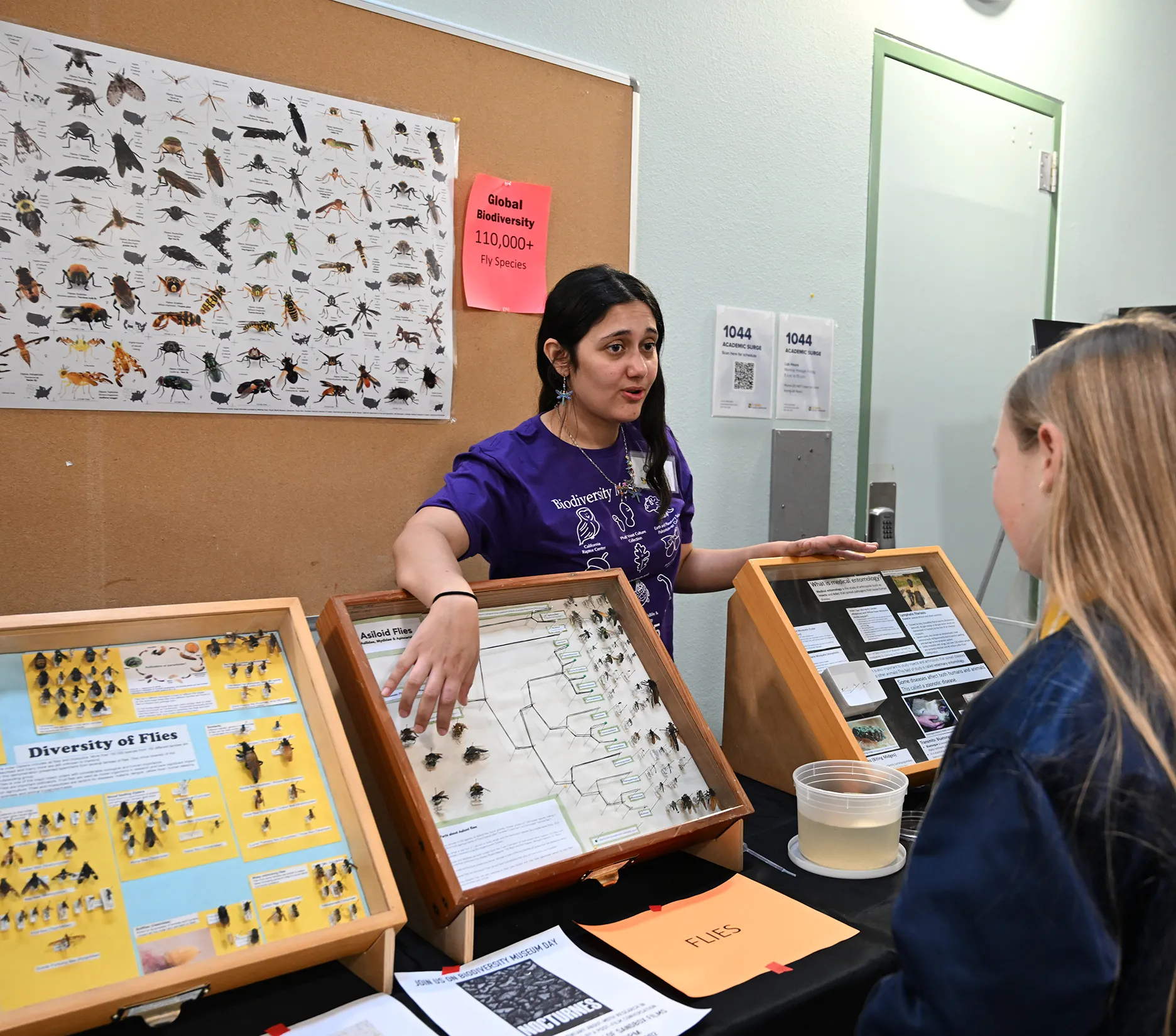Mosquito specialist Carla Cristina (CC) Edwards, now a doctoral candidate in entomology, talks to the crowd at the Bohart Museum of Entomology during the 2025 Biodiversity Museum Day. (Photo by Kathy Keatley Garvey)
