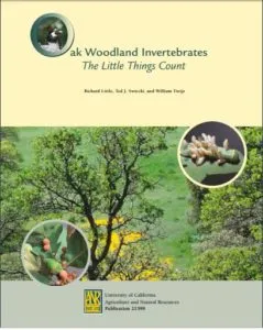 Oak Woodland Invertebrates: The Little Things Count