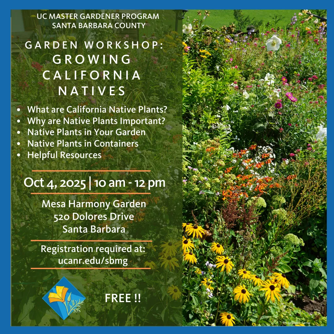 A landscape border of California native plants and flowers.