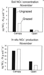4-Soil-processes_2