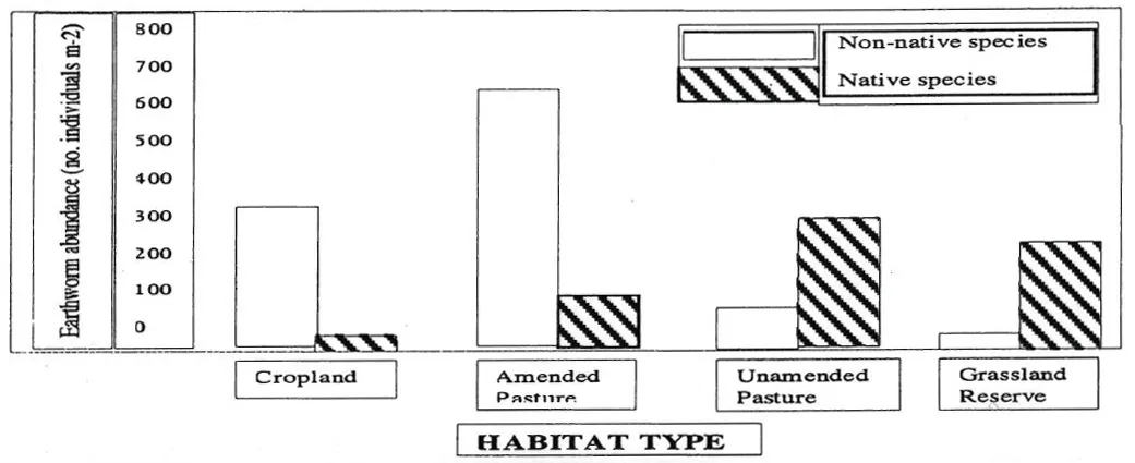 9-Earthworm-ecology_1