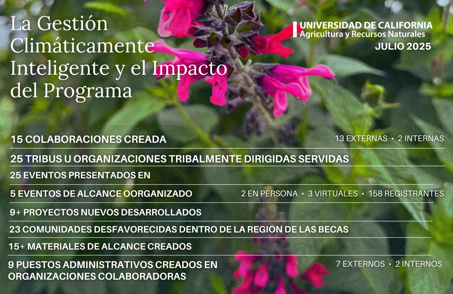 Spanish Program Impact CALE