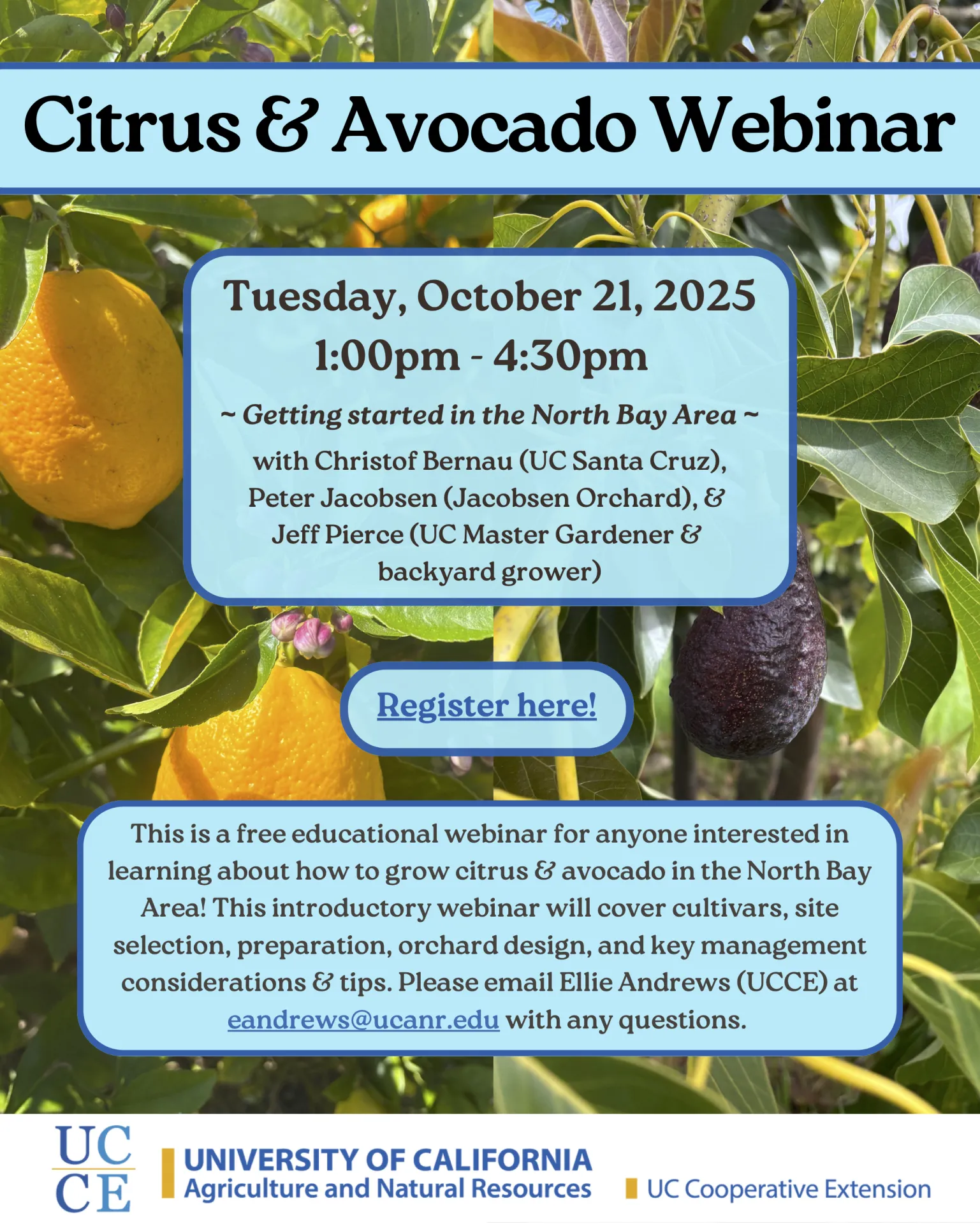 Citrus & Avocado Webinar