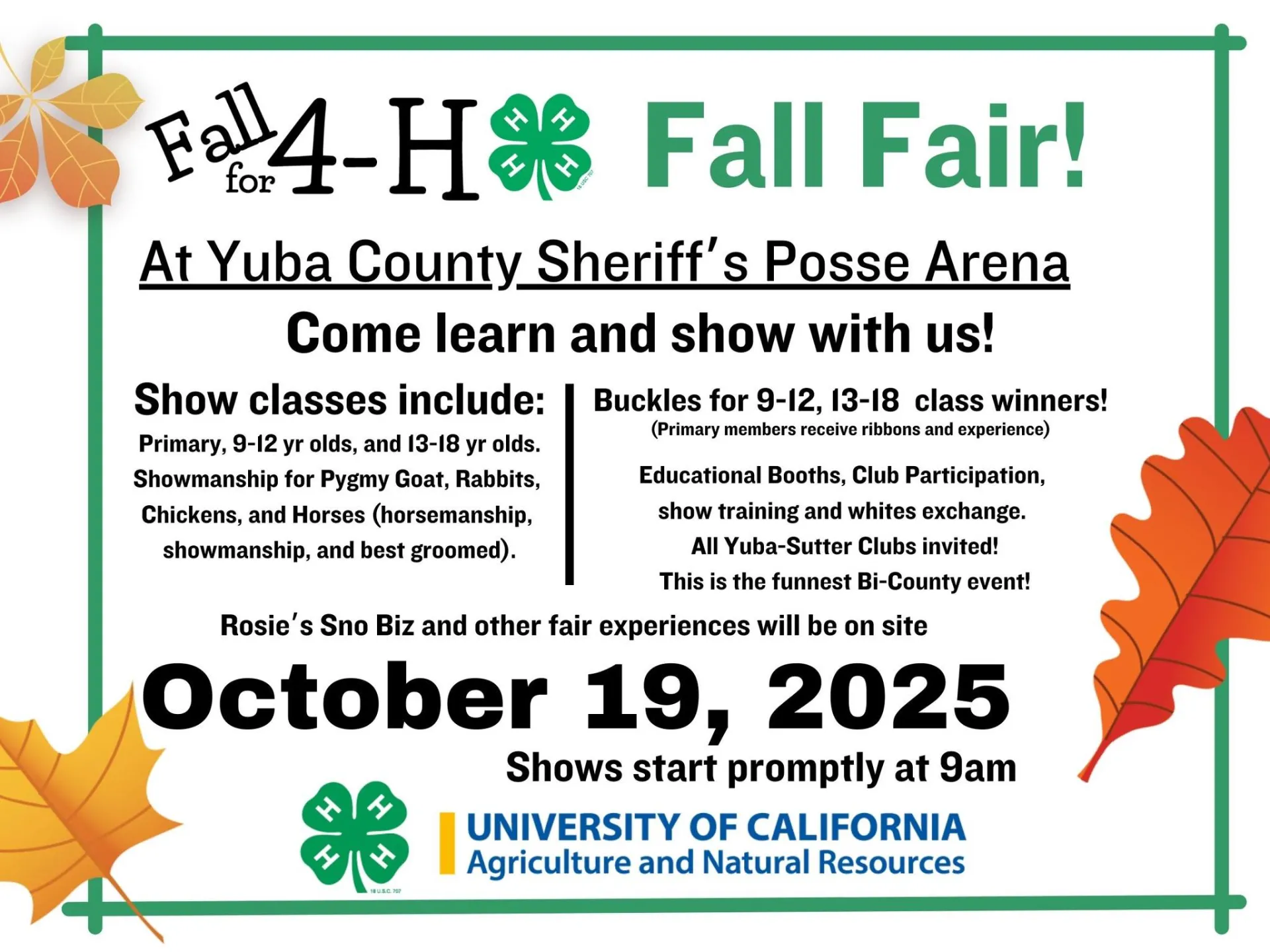 4-H Fall Fair 2025