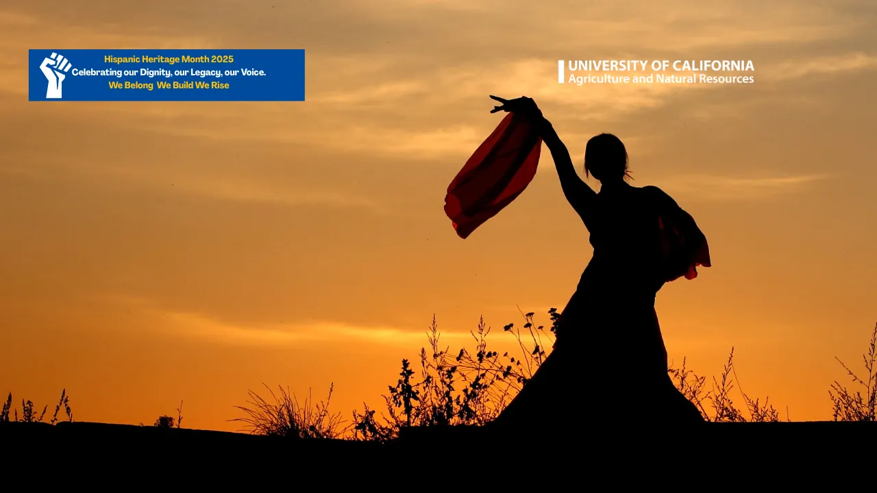 Woman Dancing on a Flamenco Dress