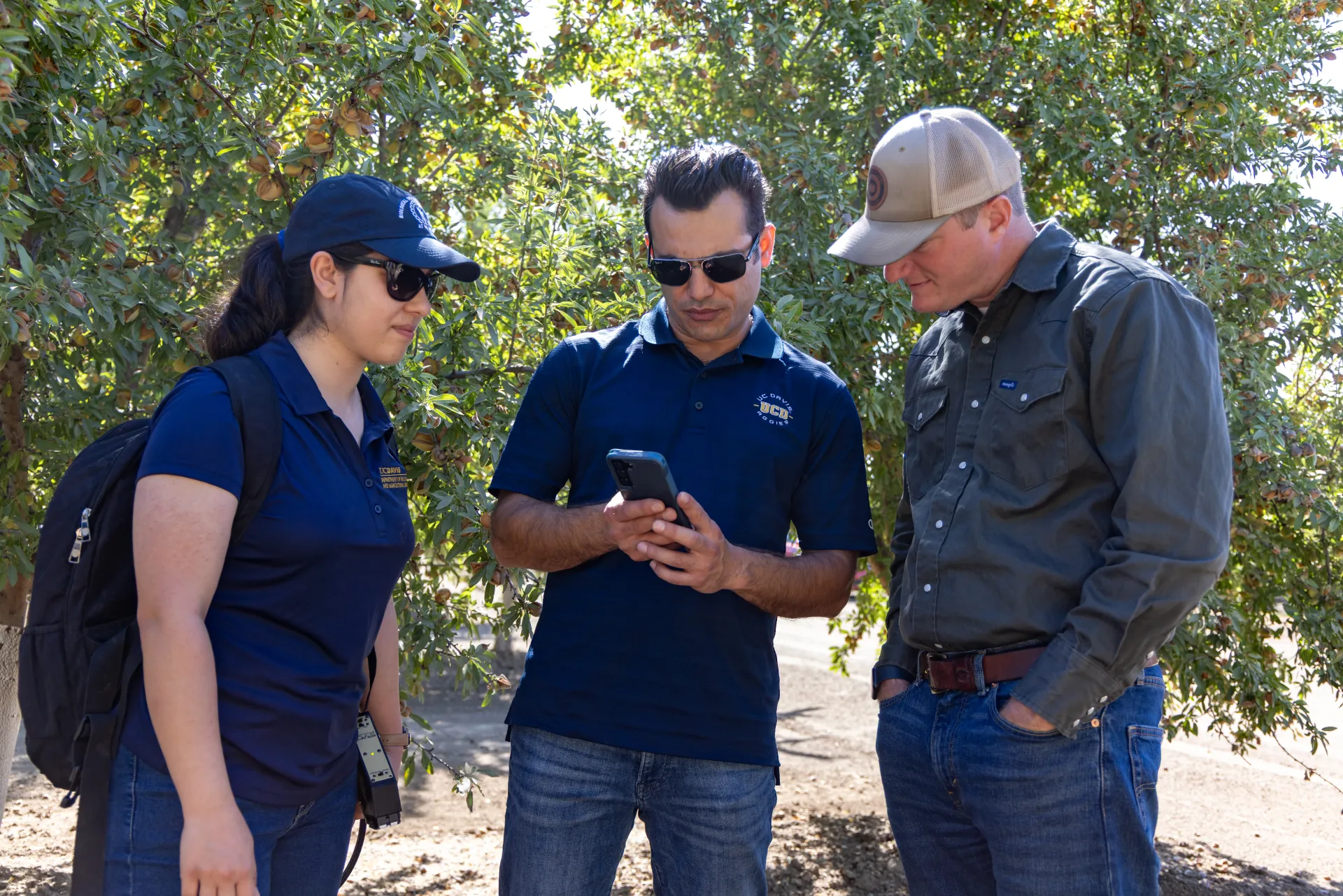 Three people standing in orchard read data on a phone
