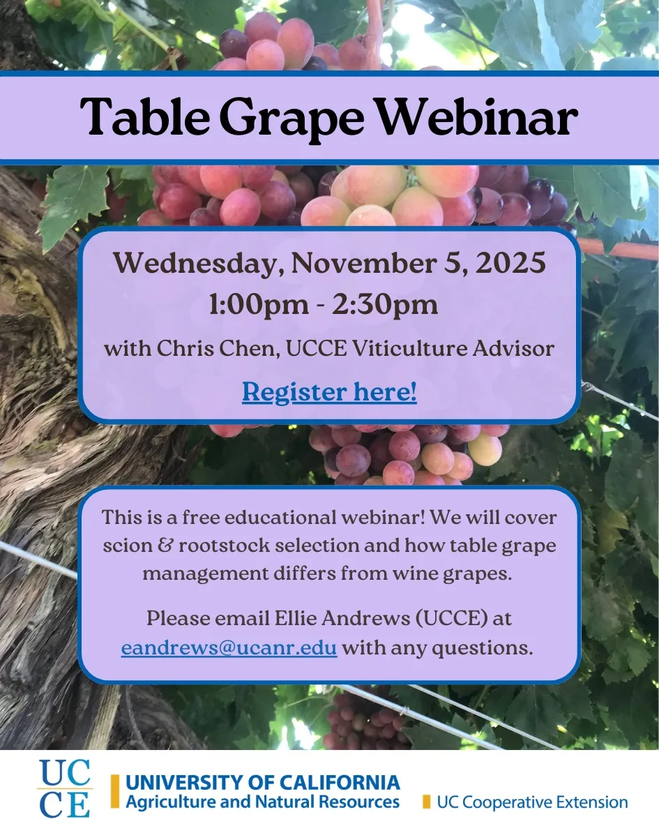 Table Grape Webinar