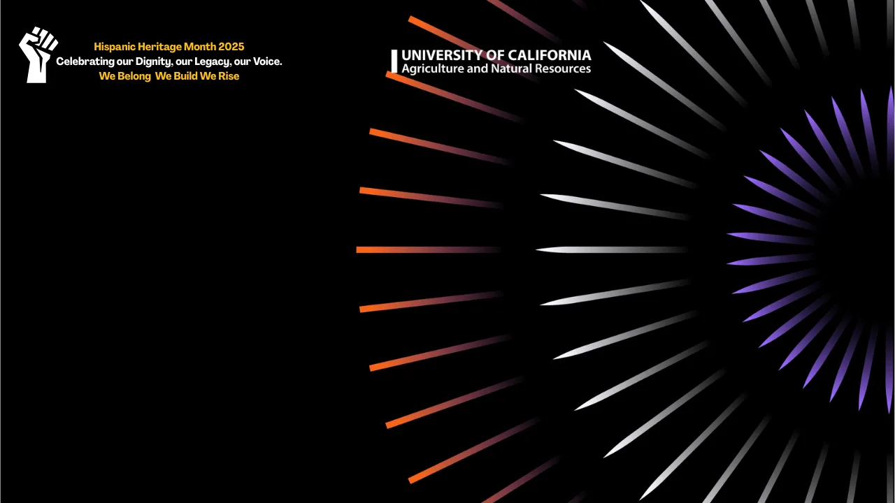 black background HHM zoom