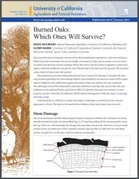 Burned Oaks: Which Ones Will Survive