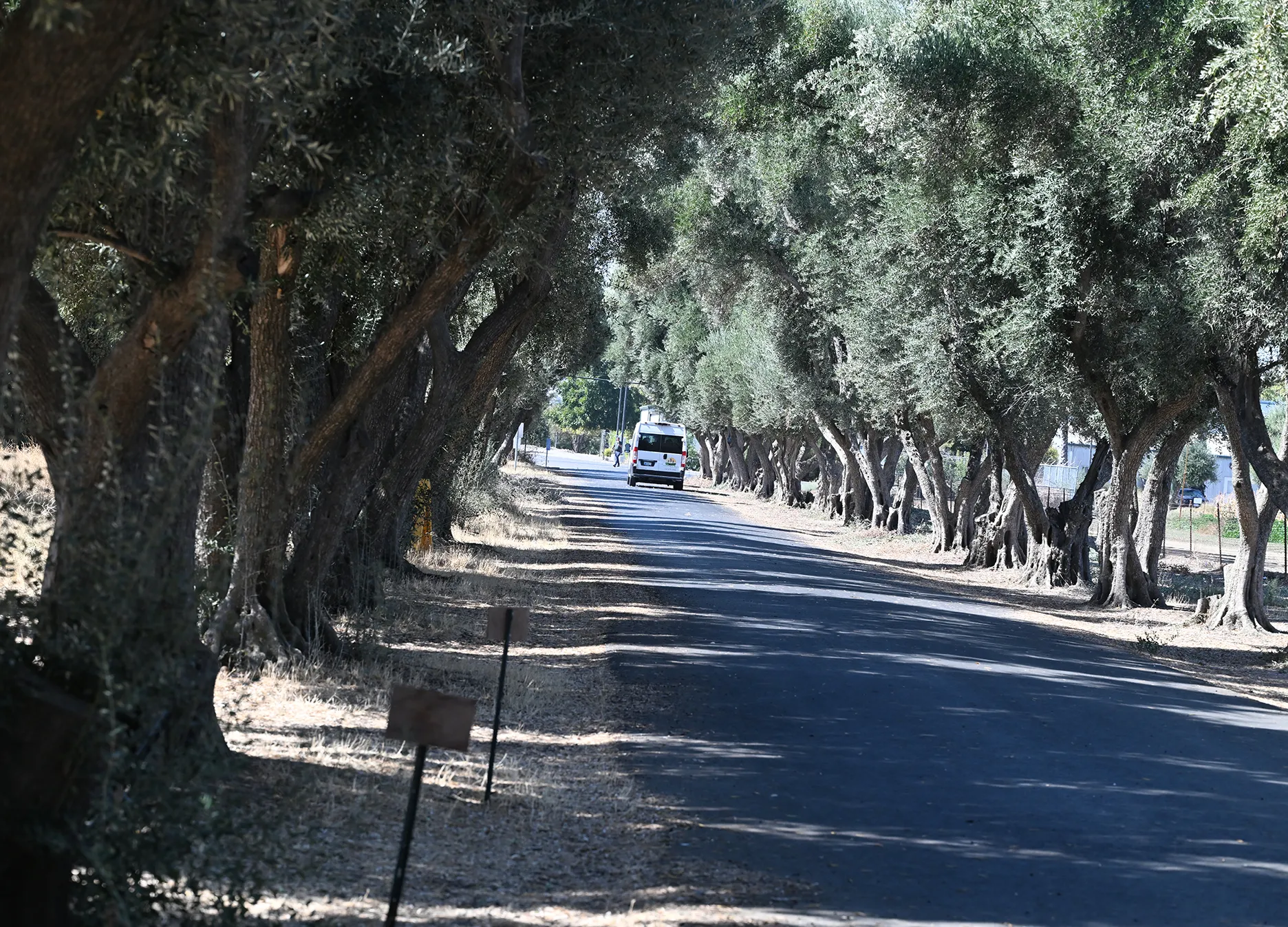 The Farmstead of Dixon bus departs the UC Davis Bee Haven. (Photo by Kathy Keatley Garvey)