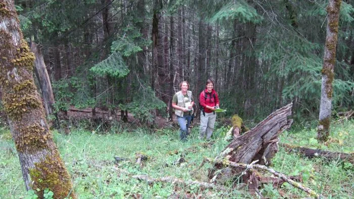 conifer-encroachment-reasearchers