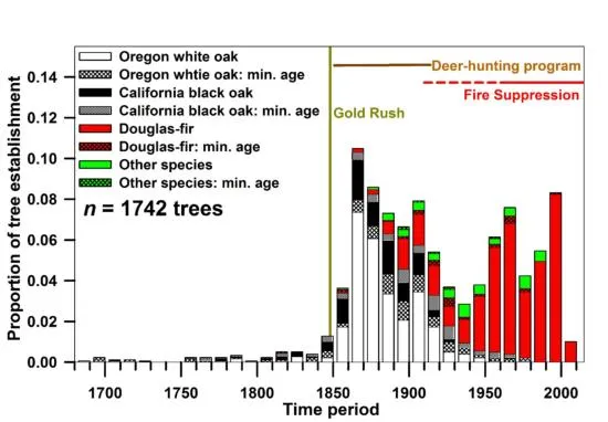 conifer_encroachment_mixed-oak-conifer-woodlands
