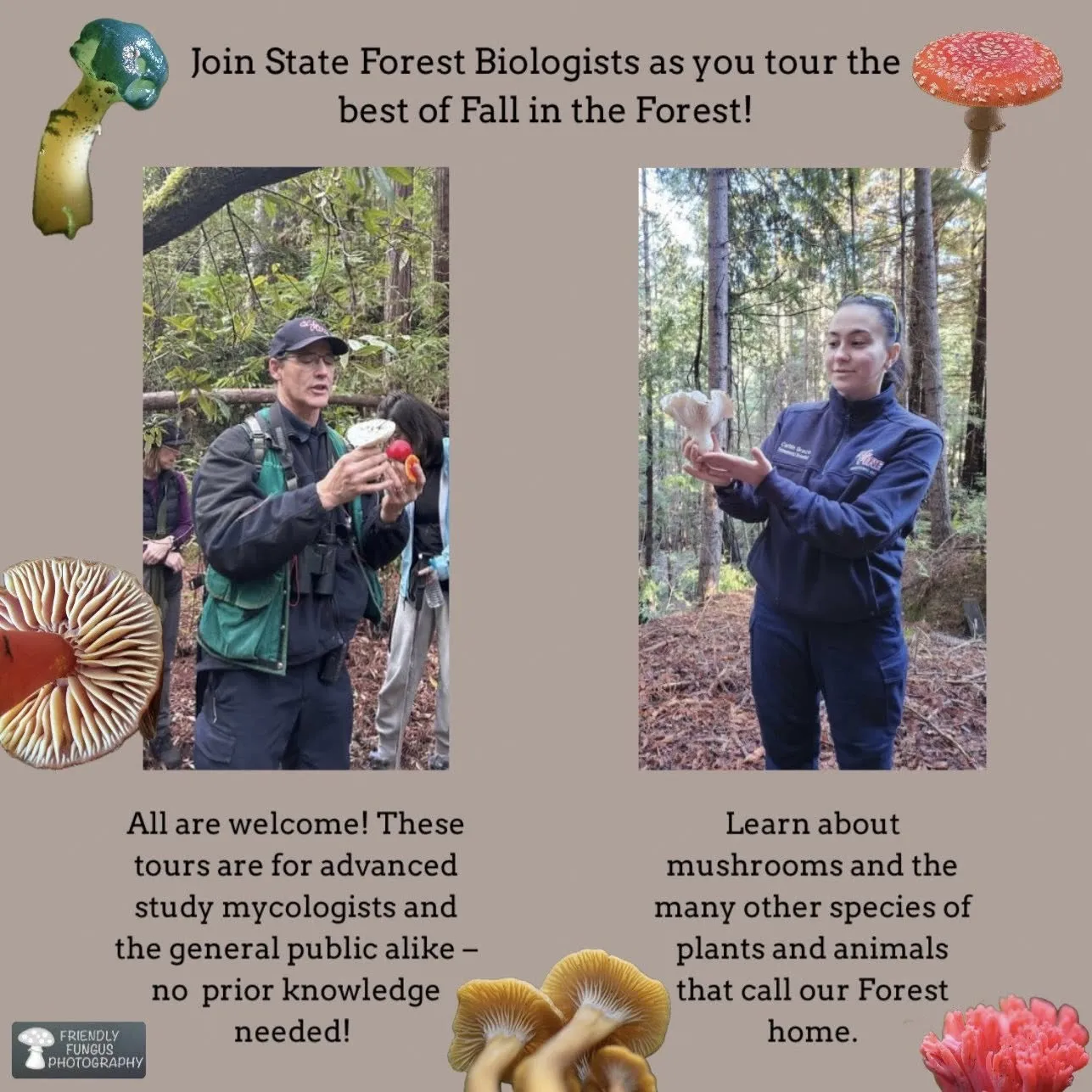 Poster displaying information on fungus event.