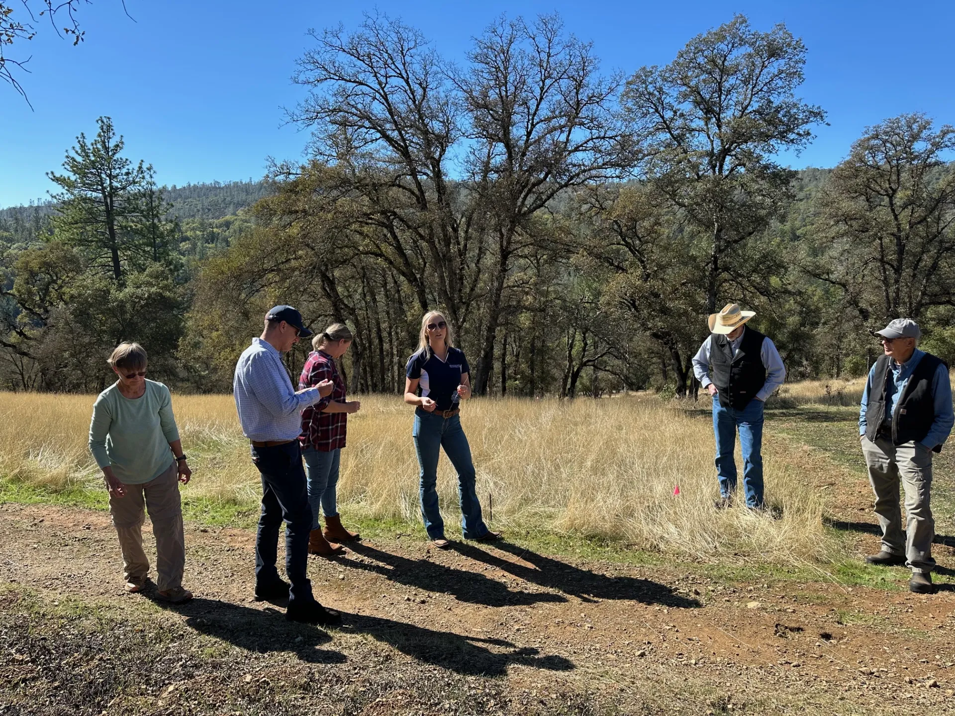 Five people look at weeds on the ground as a blonde woman speaks