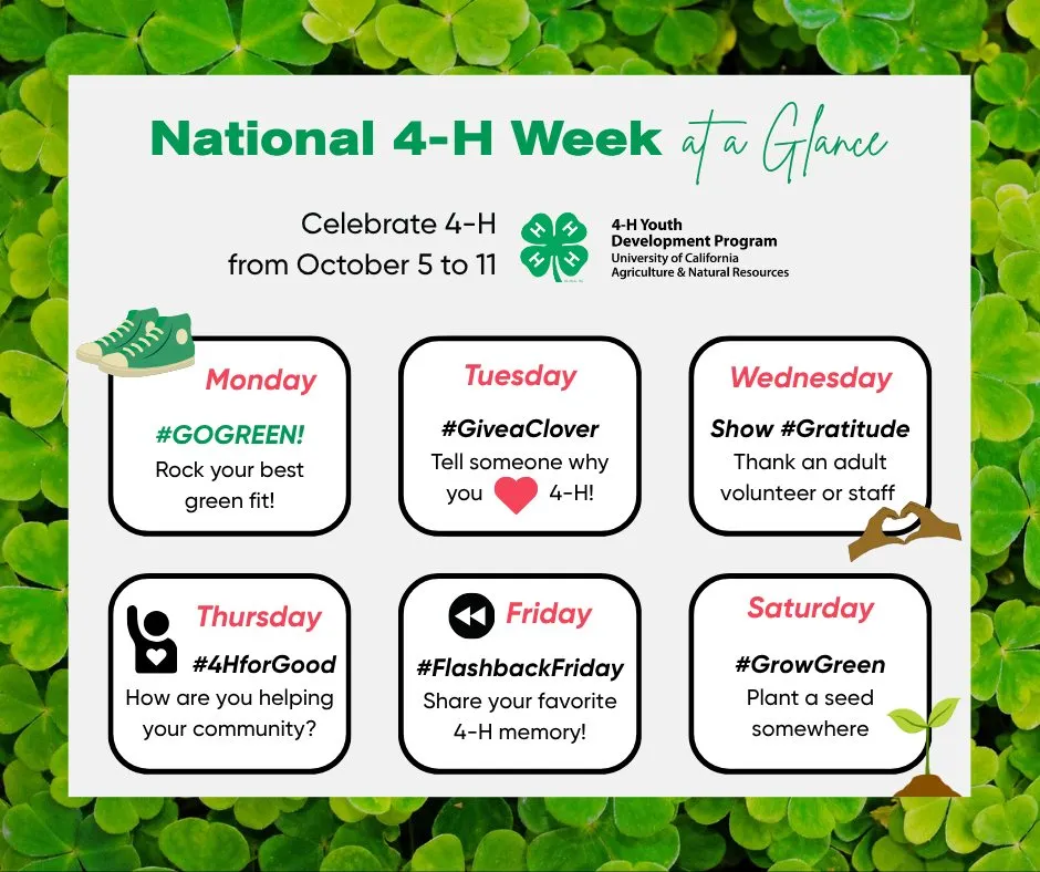 National 4-H Week Image