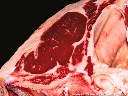 A ribeye steak (D. Drake photo)