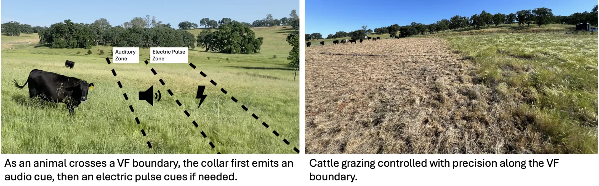 VF audio & pulse boundary