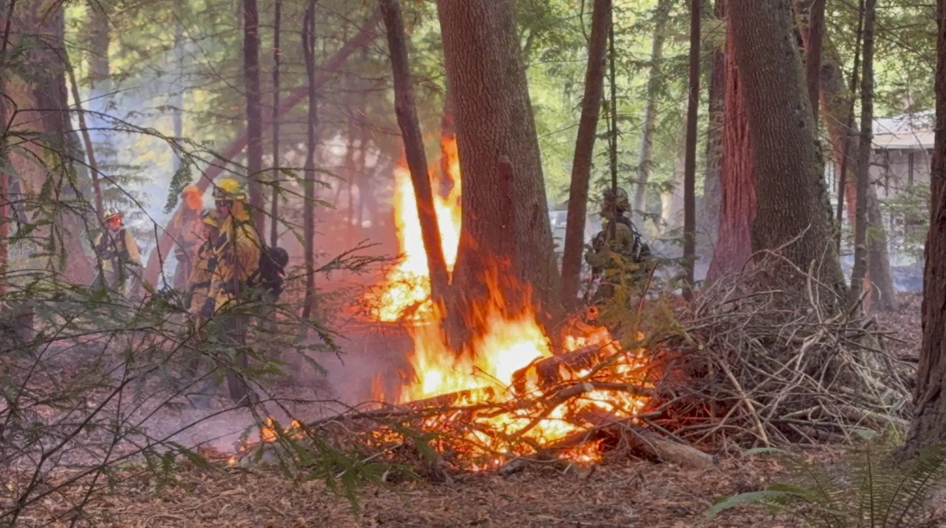 Las quemas prescritas, prácticas que permiten reconciliarse con el fuego.