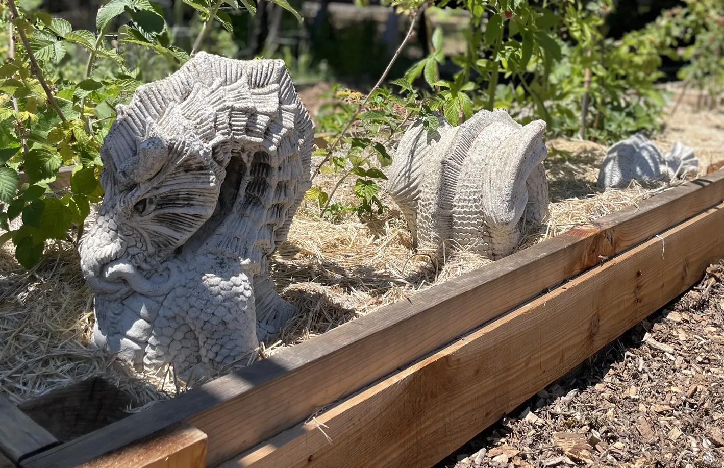 Garden Art in Windsor Demo Community Garden