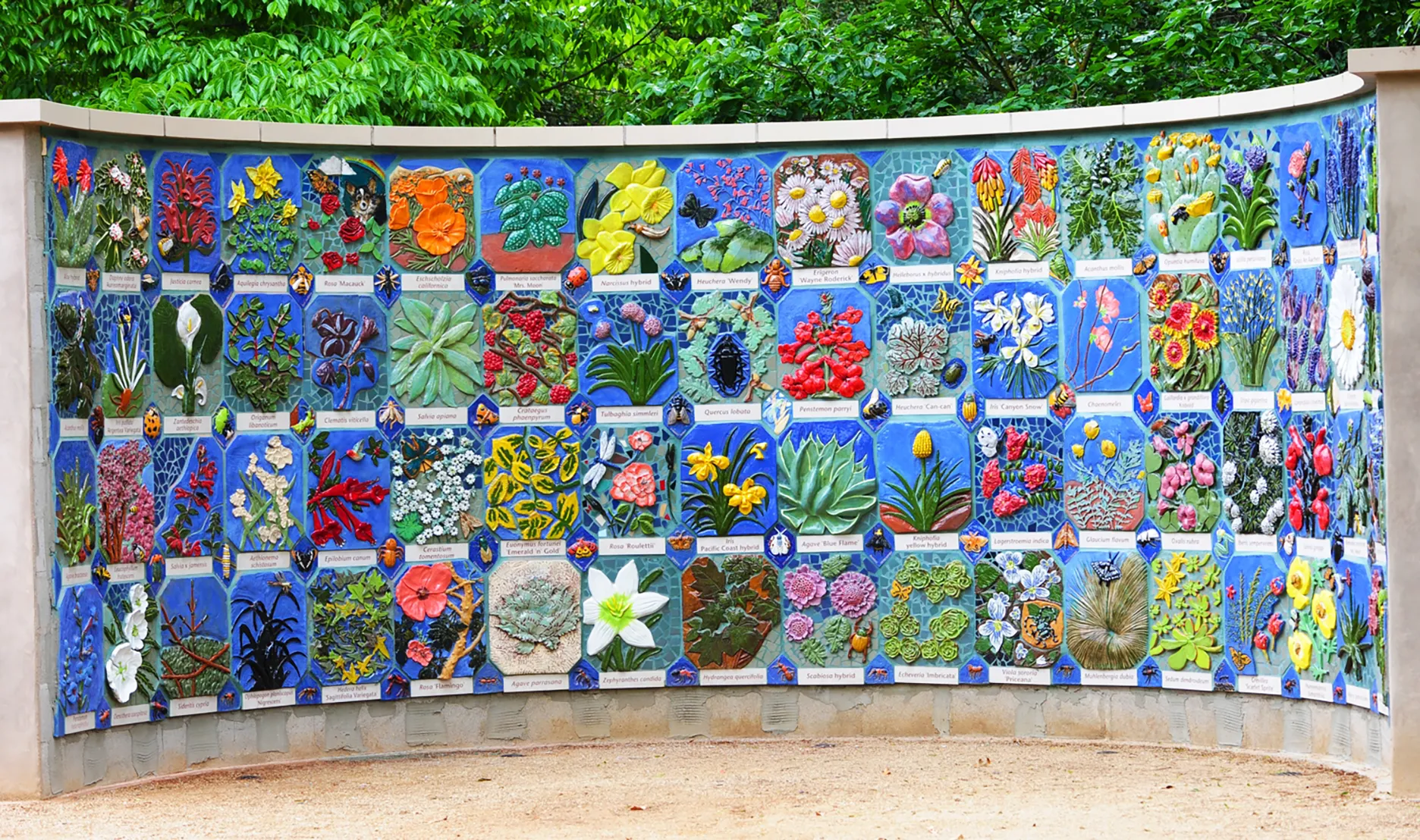 This is the UC Davis Art-Science Fusion Program's "Nature's Gallery in the UC Davis Arboretum and Public Garden. (Photo by Kathy Keatley Garvey)