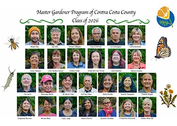 Classboard 2026 350by250