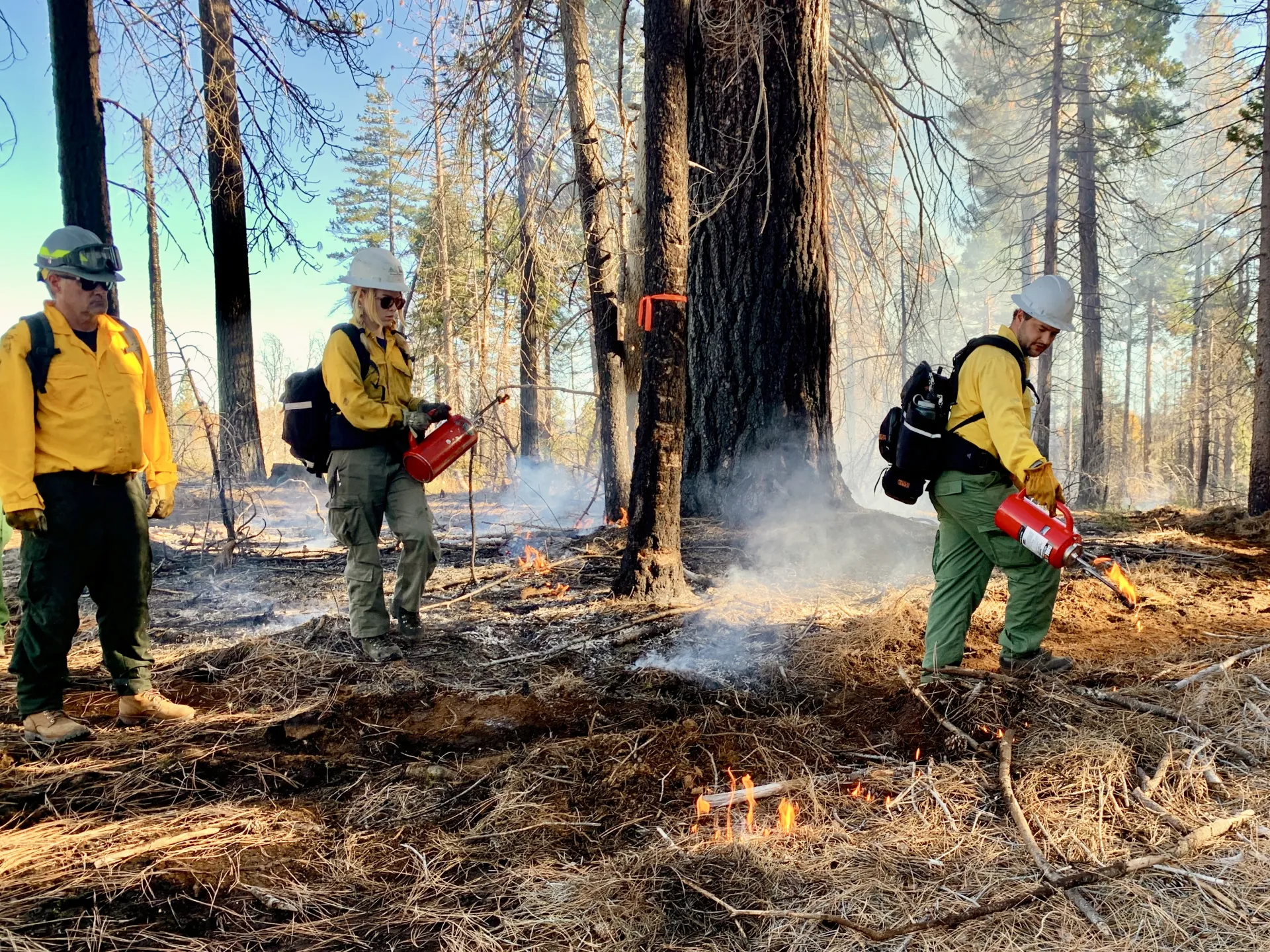 Two FTREX participants in yellow jackets use red drip torches to practice firing patterns