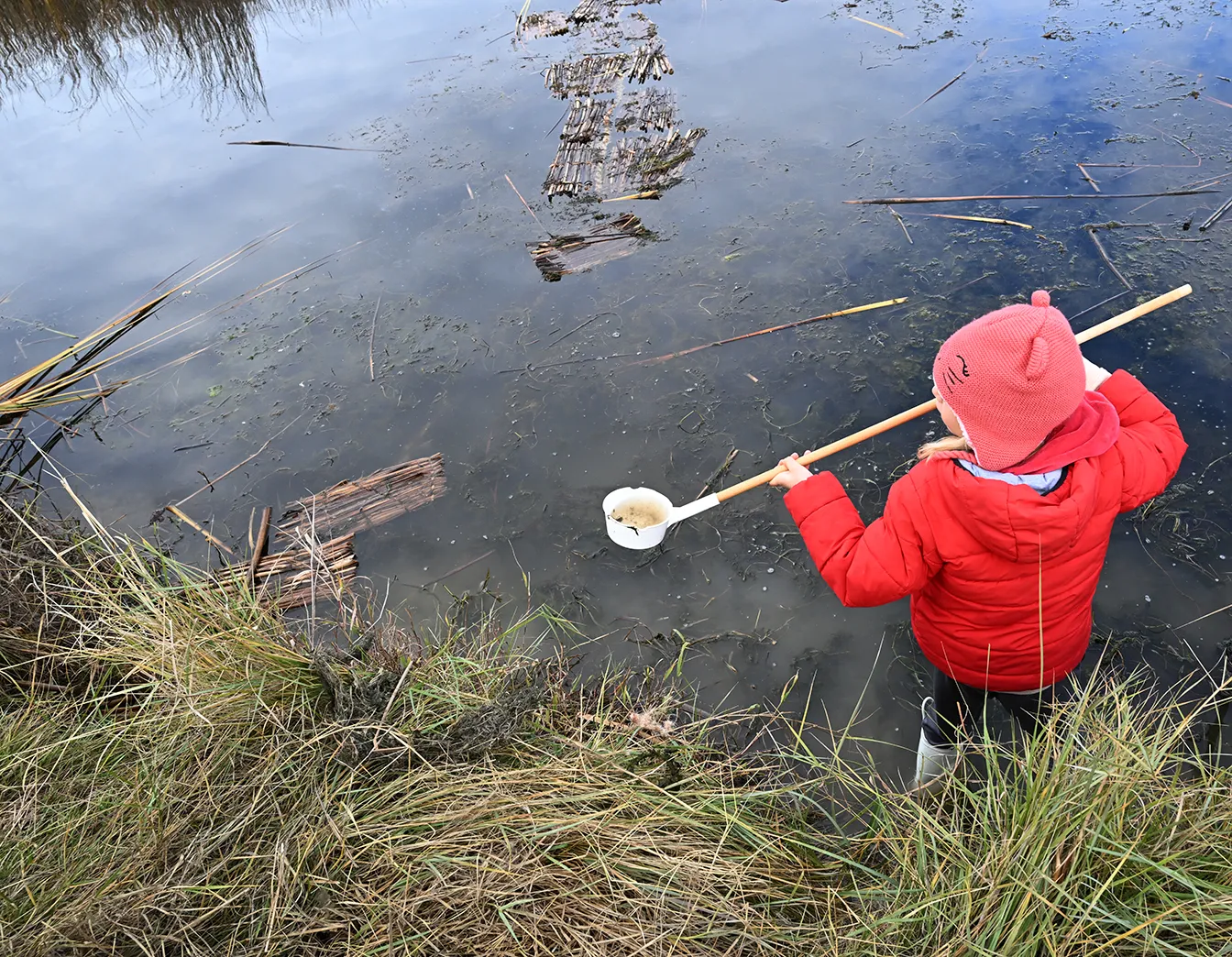 A child dipping into Cache Creek.