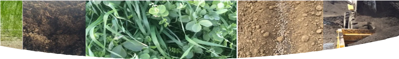 strip of photos of agricultural sights