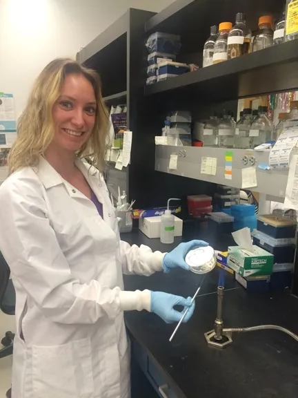 Entomology graduate student Jenny Carlson working in a UC Davis lab. She recieved her doctorate in 2015. 