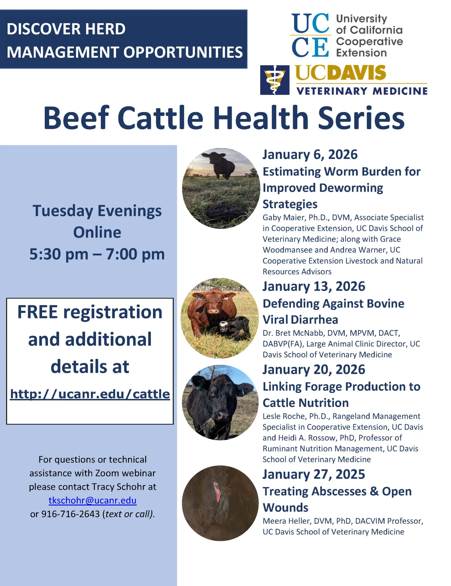 Flyer for Beef Cattle Health Webinar Series